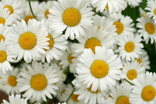 856790 (a): :2700x1800